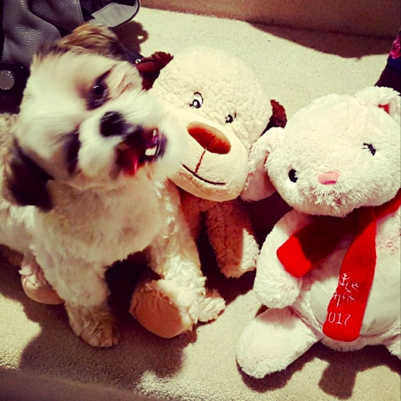 Meet your Posher, Jordan - Picture 1 of 1